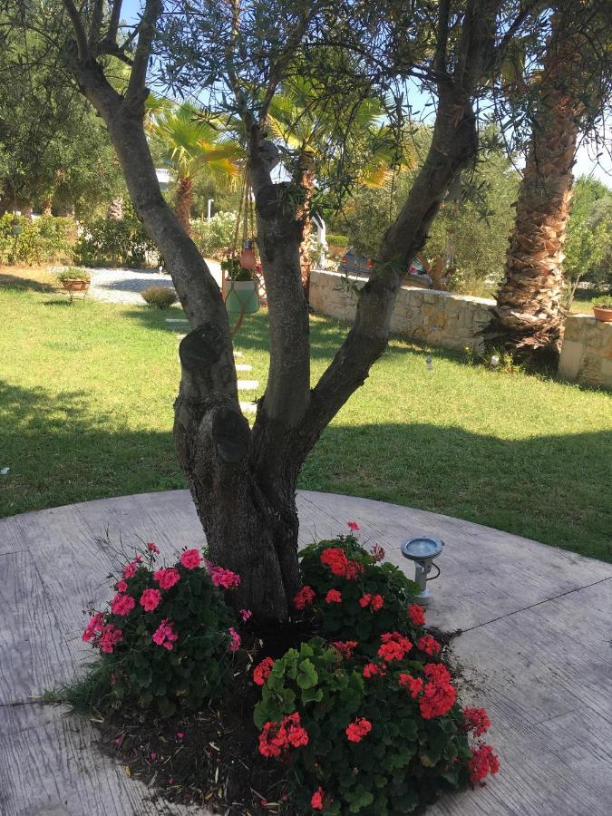 Evita , Penthouse, 53m2 ,athytos 450m From The *