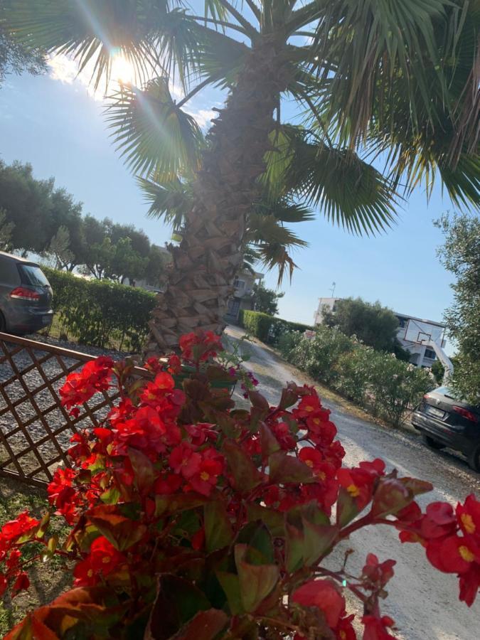 Holiday home Evita , Penthouse, 53m2 ,athytos 450m From The *