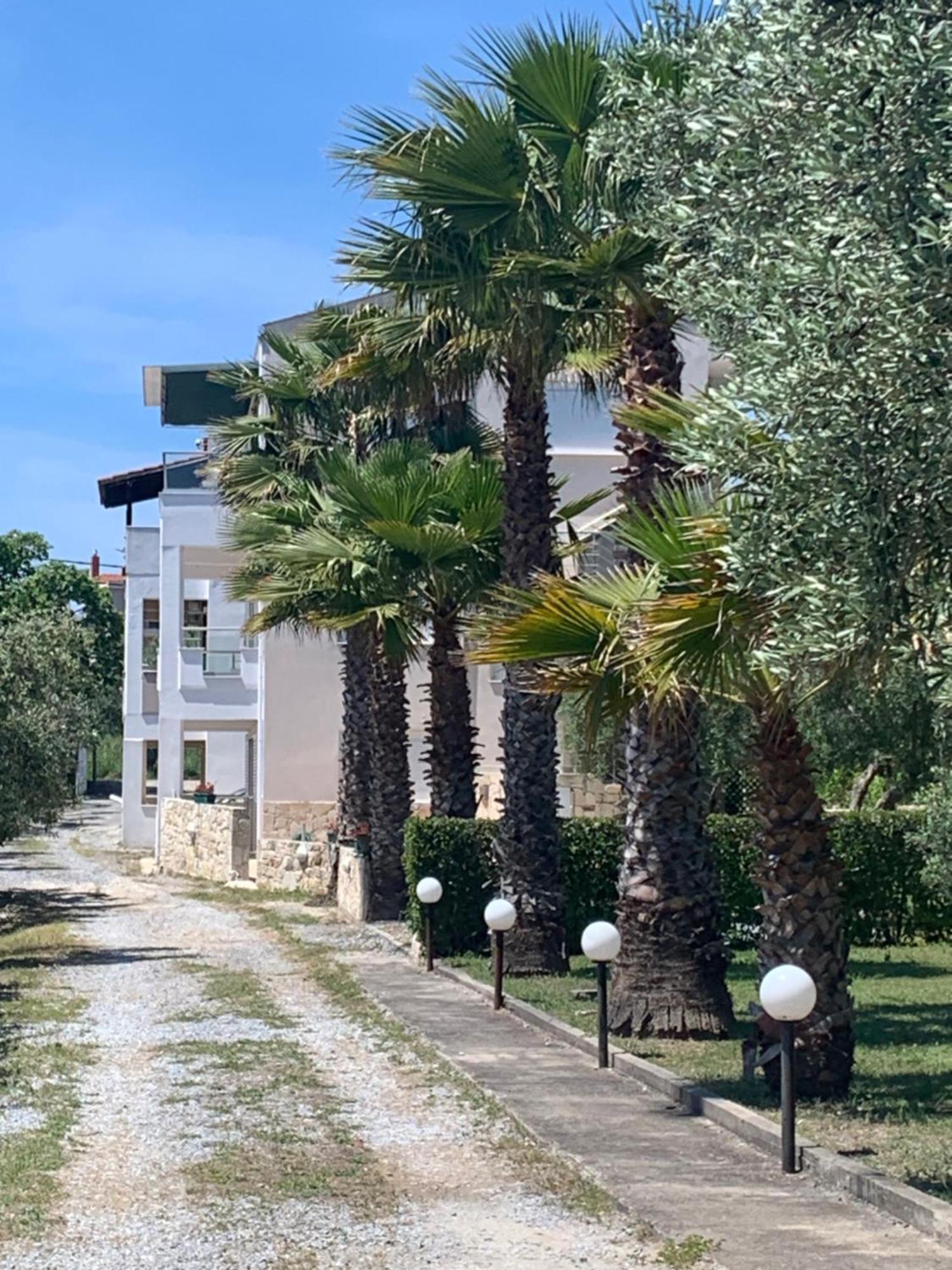 Evita , Penthouse, 53m2 ,athytos 450m From The Afytos